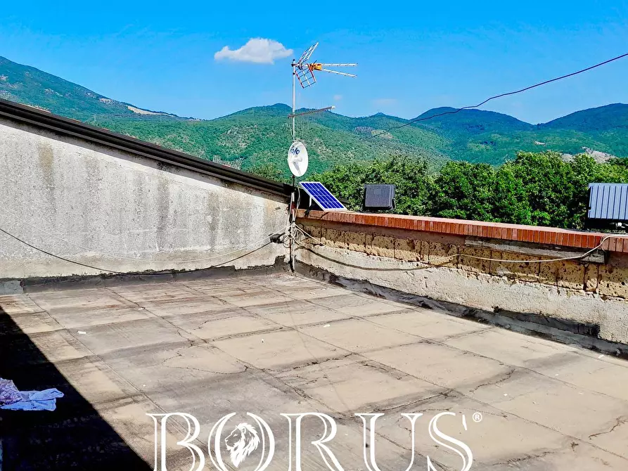 Immagine 47 di Azienda agricola in vendita  a Conca Della Campania