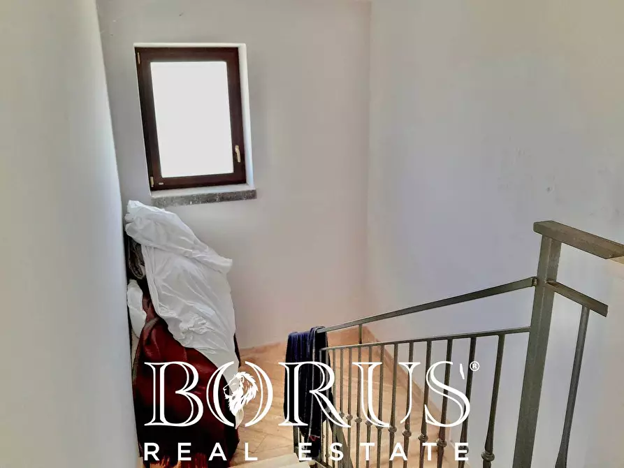 Immagine 50 di Azienda agricola in vendita  a Conca Della Campania