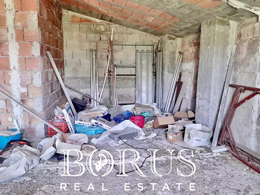 Immagine 51 di Azienda agricola in vendita  a Conca Della Campania