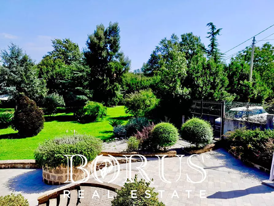 Immagine 61 di Azienda agricola in vendita  a Conca Della Campania