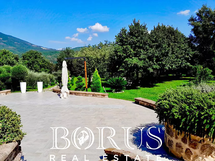 Immagine 72 di Azienda agricola in vendita  a Conca Della Campania