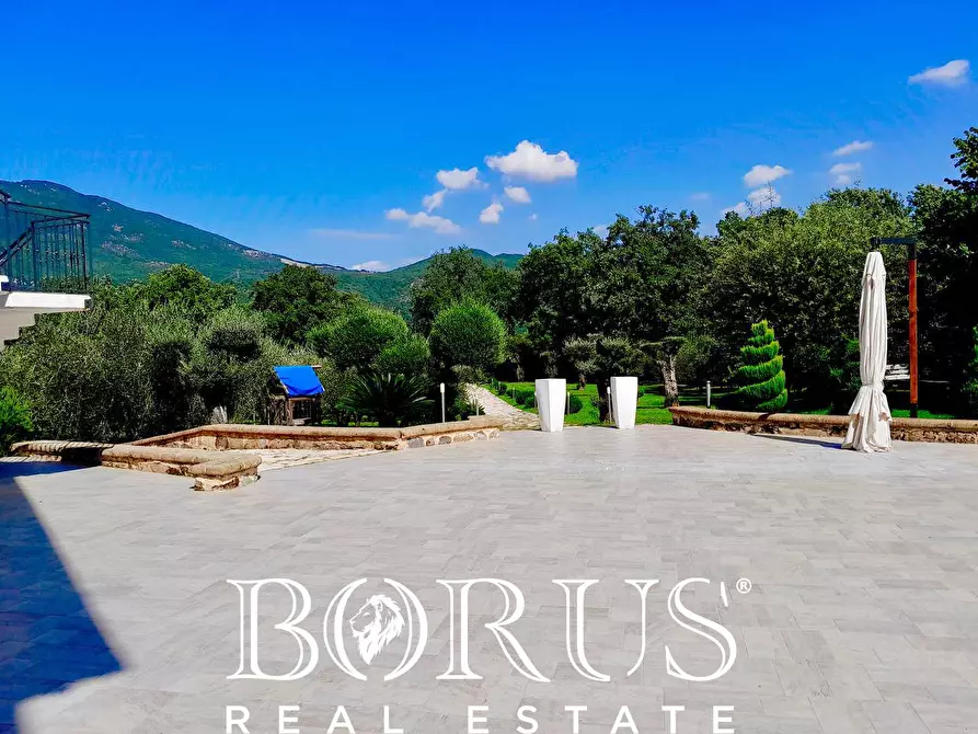 Immagine 73 di Azienda agricola in vendita  a Conca Della Campania