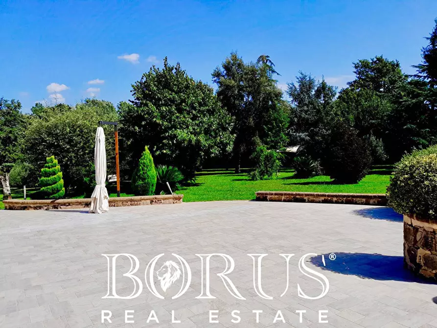 Immagine 74 di Azienda agricola in vendita  a Conca Della Campania