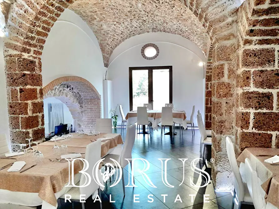 Immagine 82 di Azienda agricola in vendita  a Conca Della Campania