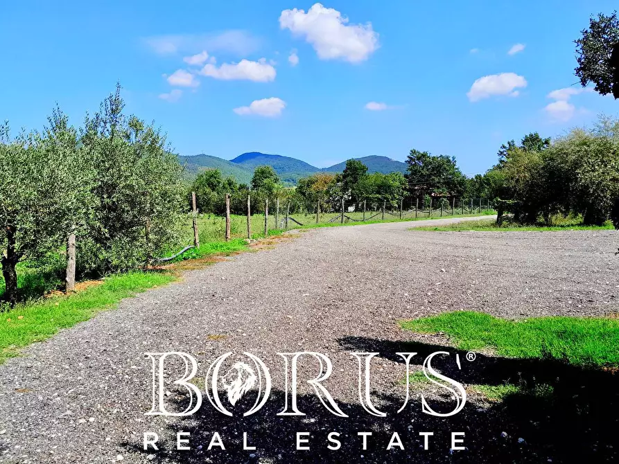 Immagine 85 di Azienda agricola in vendita  a Conca Della Campania