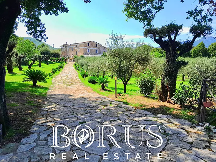 Immagine 86 di Azienda agricola in vendita  a Conca Della Campania