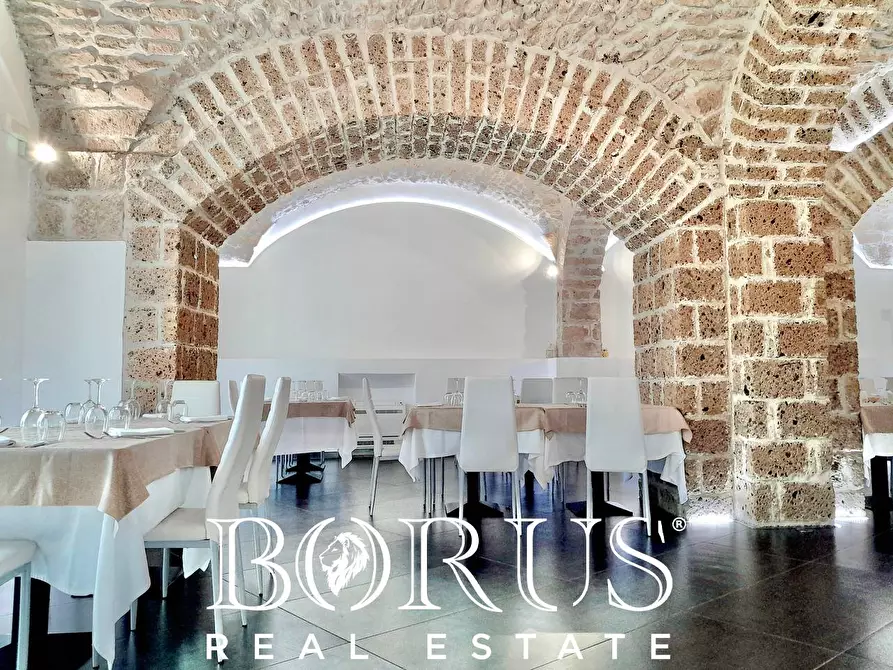 Immagine 87 di Azienda agricola in vendita  a Conca Della Campania