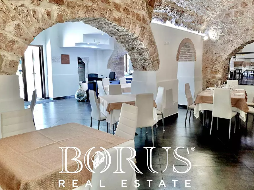 Immagine 88 di Azienda agricola in vendita  a Conca Della Campania