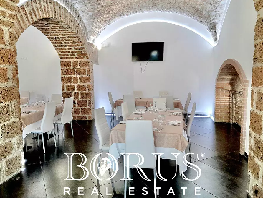 Immagine 89 di Azienda agricola in vendita  a Conca Della Campania