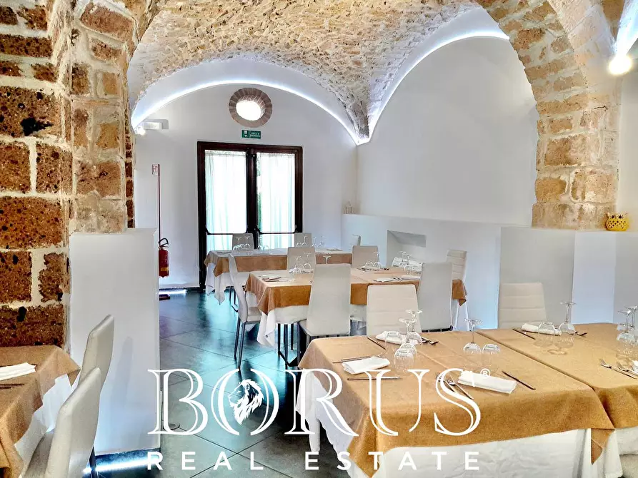 Immagine 91 di Azienda agricola in vendita  a Conca Della Campania