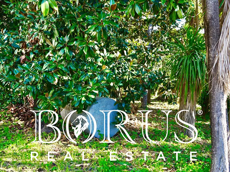 Immagine 9 di Terreno residenziale in vendita  in VIA ALDO MORO a Melito Di Napoli