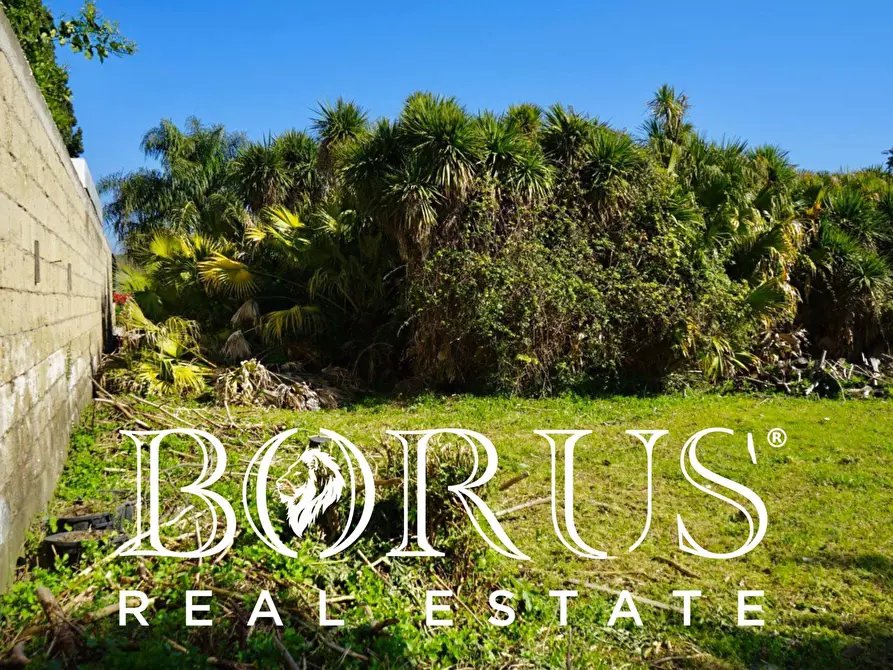 Immagine 2 di Terreno residenziale in vendita  in VIA ALDO MORO a Melito Di Napoli