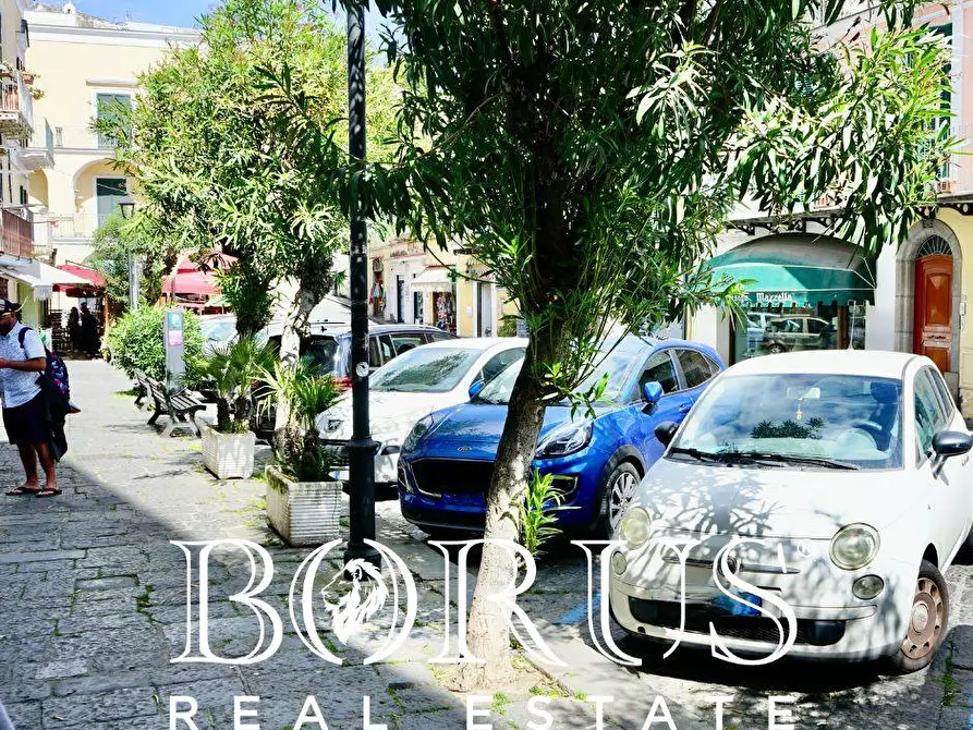 Immagine 26 di Casa indipendente in vendita  a Ischia