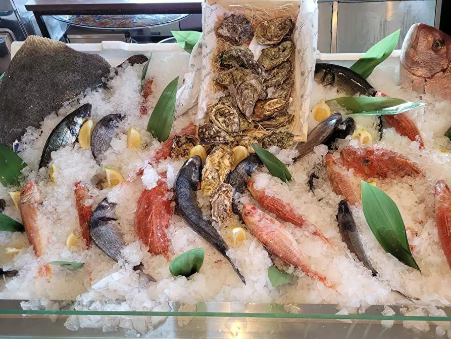 Immagine 12 di Casa indipendente in vendita  a Rodi Garganico