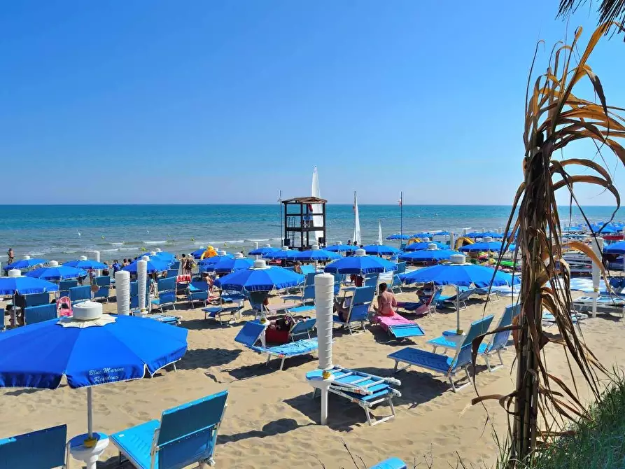 Immagine 16 di Casa indipendente in vendita  a Rodi Garganico