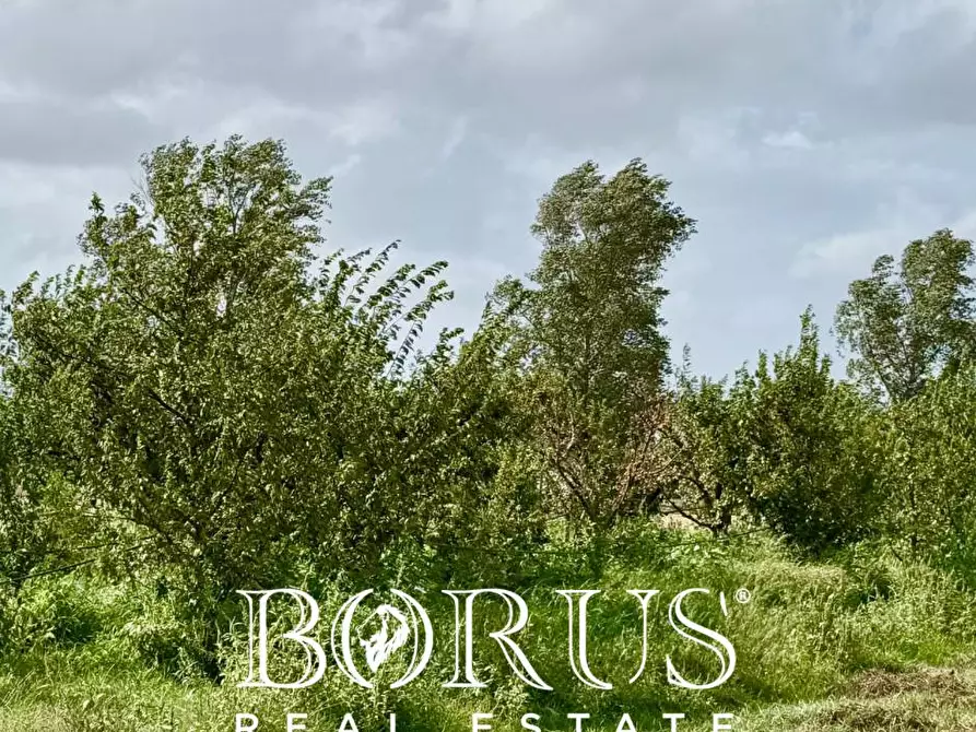 Immagine 12 di Terreno agricolo in vendita  a Trentola Ducenta