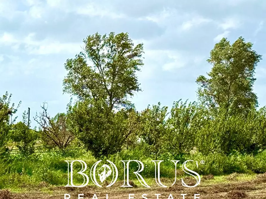 Immagine 14 di Terreno agricolo in vendita  a Trentola Ducenta