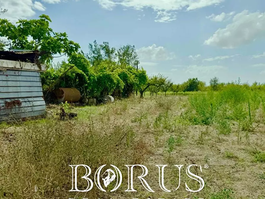 Immagine 2 di Terreno agricolo in vendita  a Trentola Ducenta