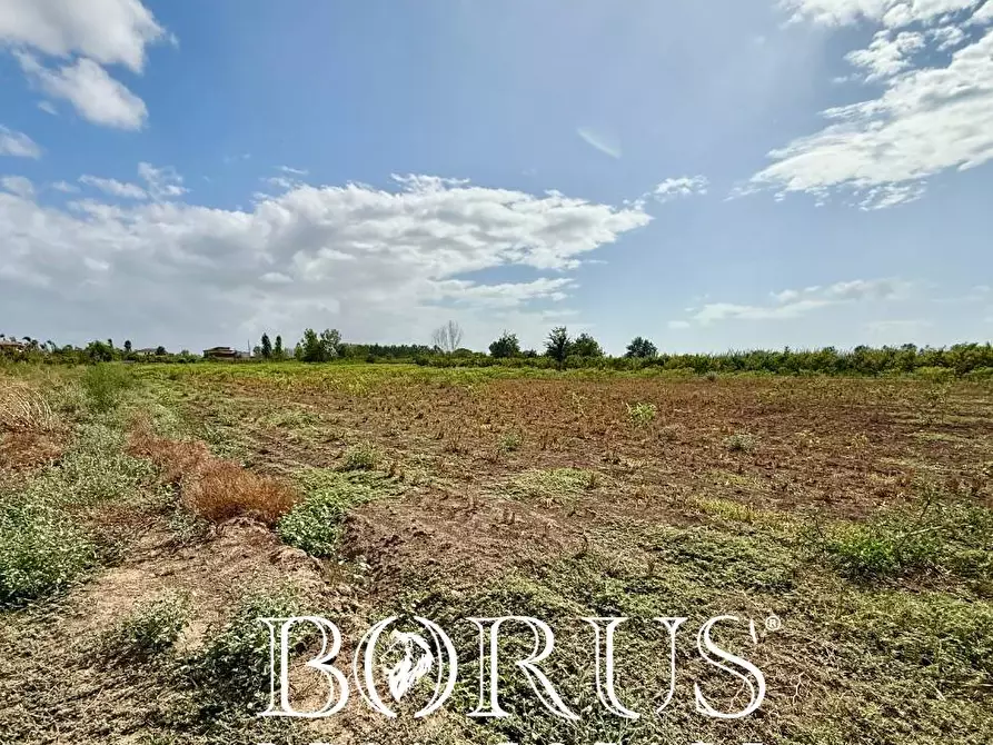 Immagine 6 di Terreno agricolo in vendita  a Trentola Ducenta