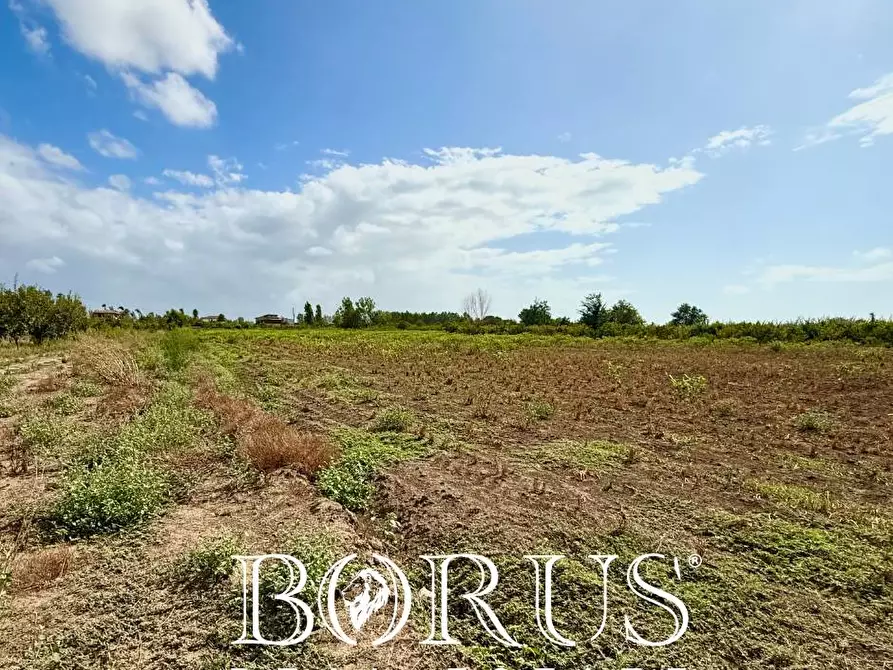 Immagine 7 di Terreno agricolo in vendita  a Trentola Ducenta