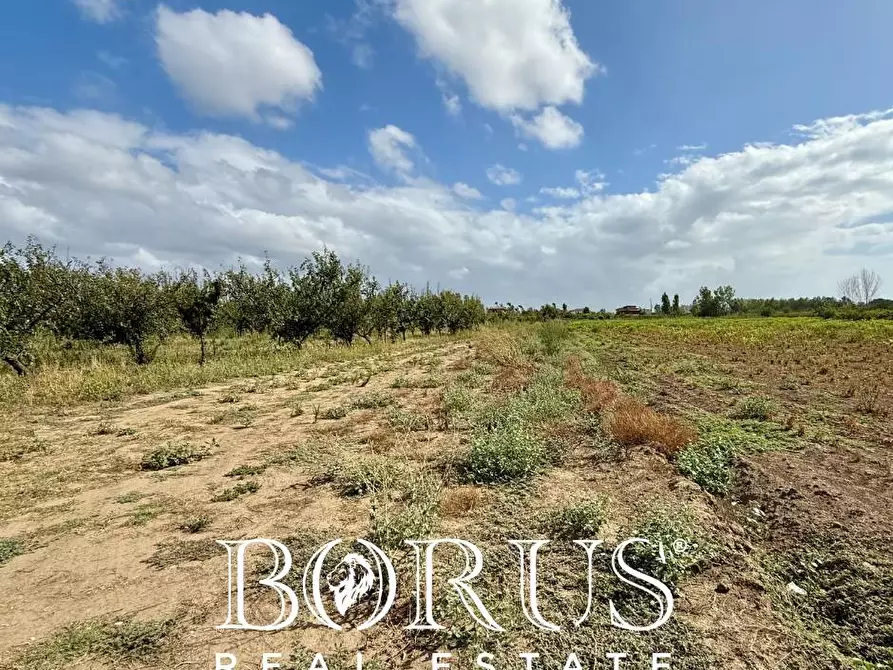 Immagine 8 di Terreno agricolo in vendita  a Trentola Ducenta