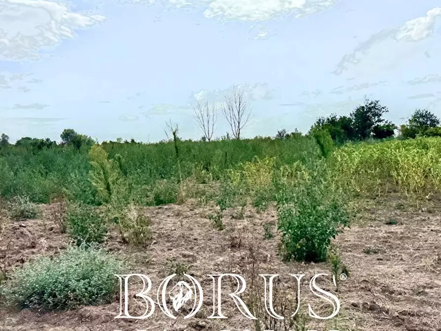 Immagine 10 di Terreno agricolo in vendita  a Trentola Ducenta