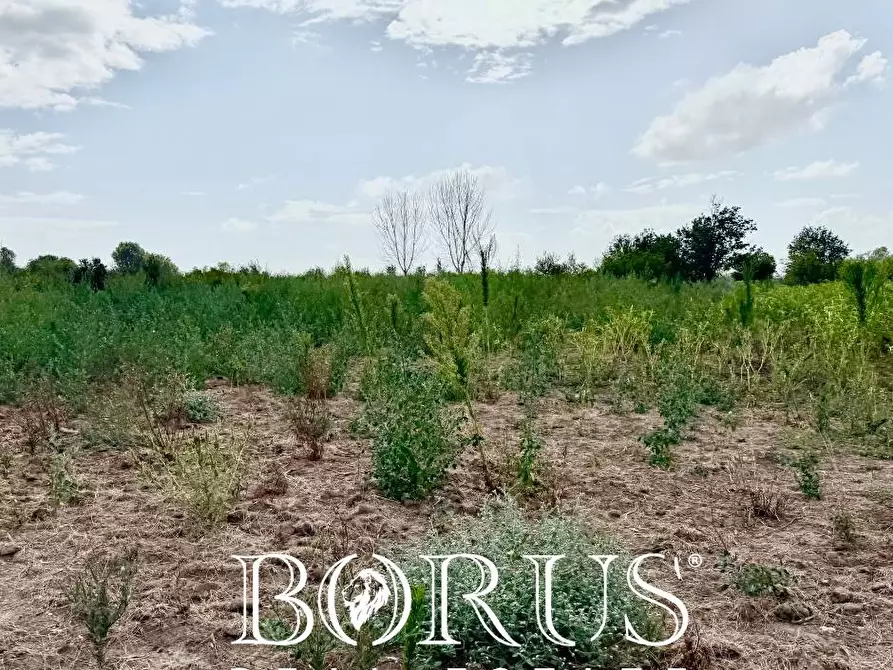 Immagine 11 di Terreno agricolo in vendita  a Trentola Ducenta