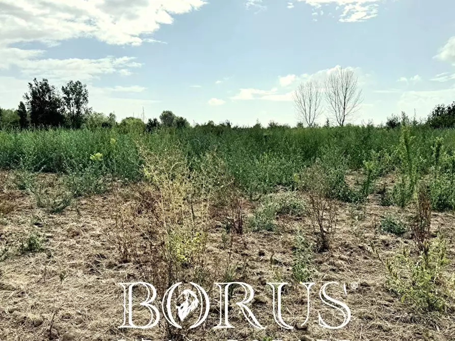 Immagine 12 di Terreno agricolo in vendita  a Trentola Ducenta