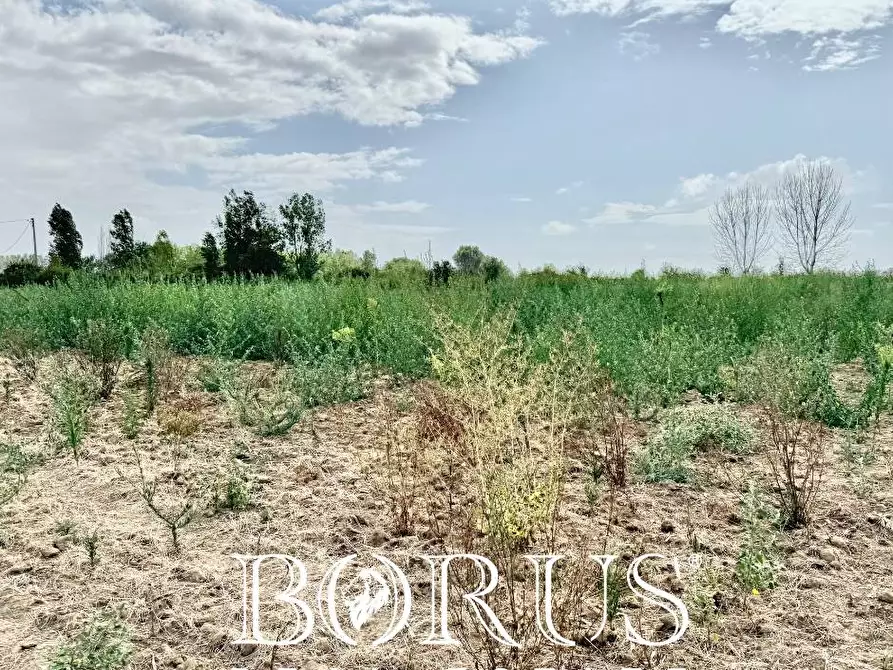 Immagine 13 di Terreno agricolo in vendita  a Trentola Ducenta