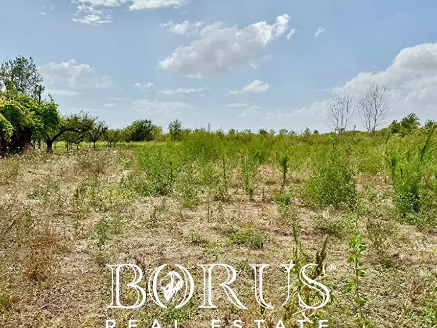 Immagine 14 di Terreno agricolo in vendita  a Trentola Ducenta