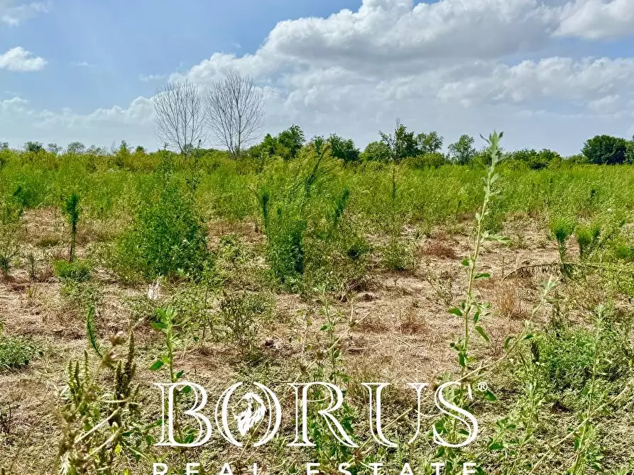 Immagine 15 di Terreno agricolo in vendita  a Trentola Ducenta