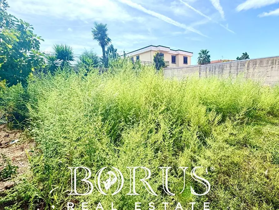 Immagine 5 di Terreno residenziale in vendita  in Corso Italia a Casal Di Principe