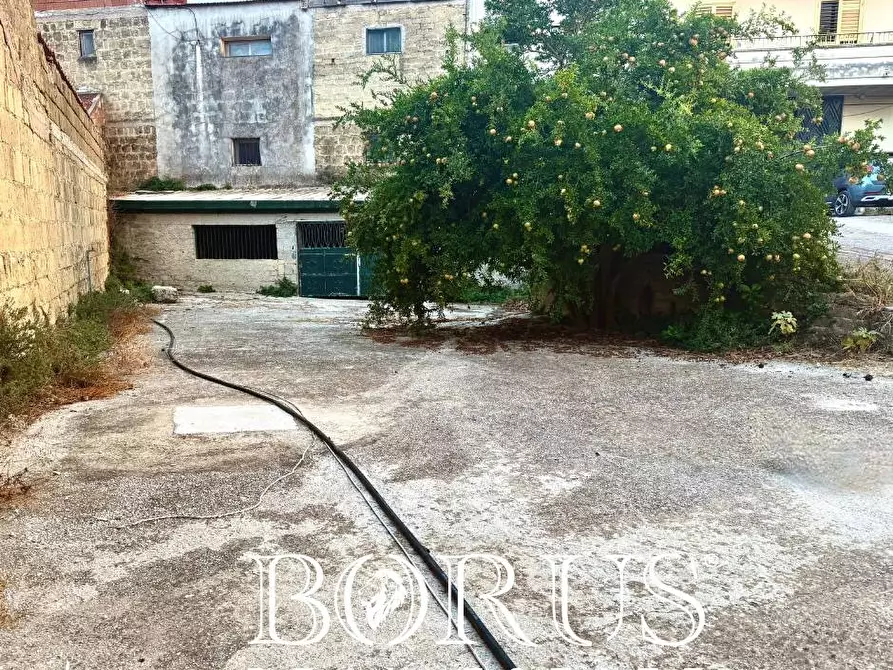 Immagine 2 di Locale commerciale in affitto  a San Cipriano D'aversa