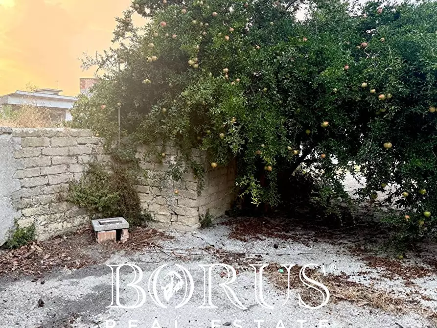 Immagine 6 di Locale commerciale in affitto  a San Cipriano D'aversa