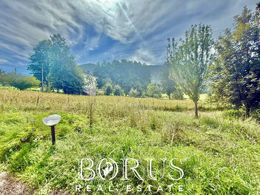 Immagine 50 di Casa indipendente in vendita  a Letino