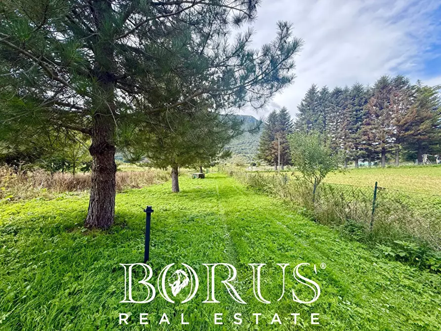 Immagine 53 di Casa indipendente in vendita  a Letino