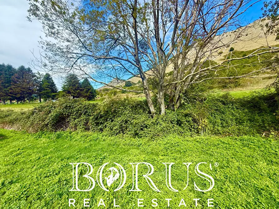 Immagine 66 di Casa indipendente in vendita  a Letino