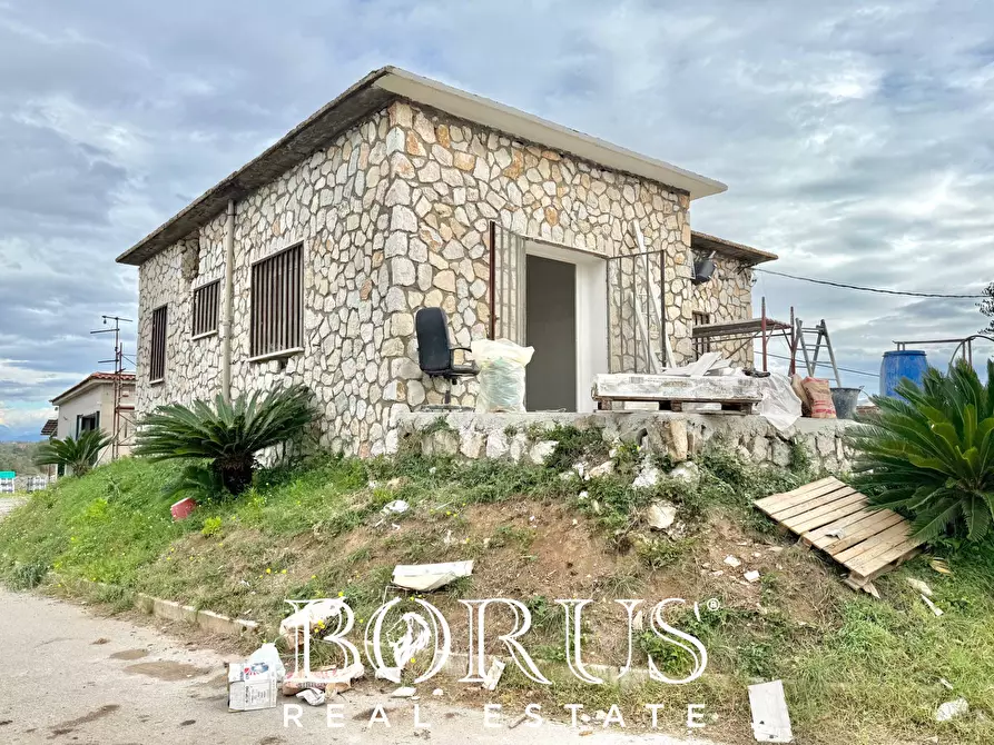 Immagine 4 di Azienda agricola in vendita  in Santa Maria la Piana a Sessa Aurunca