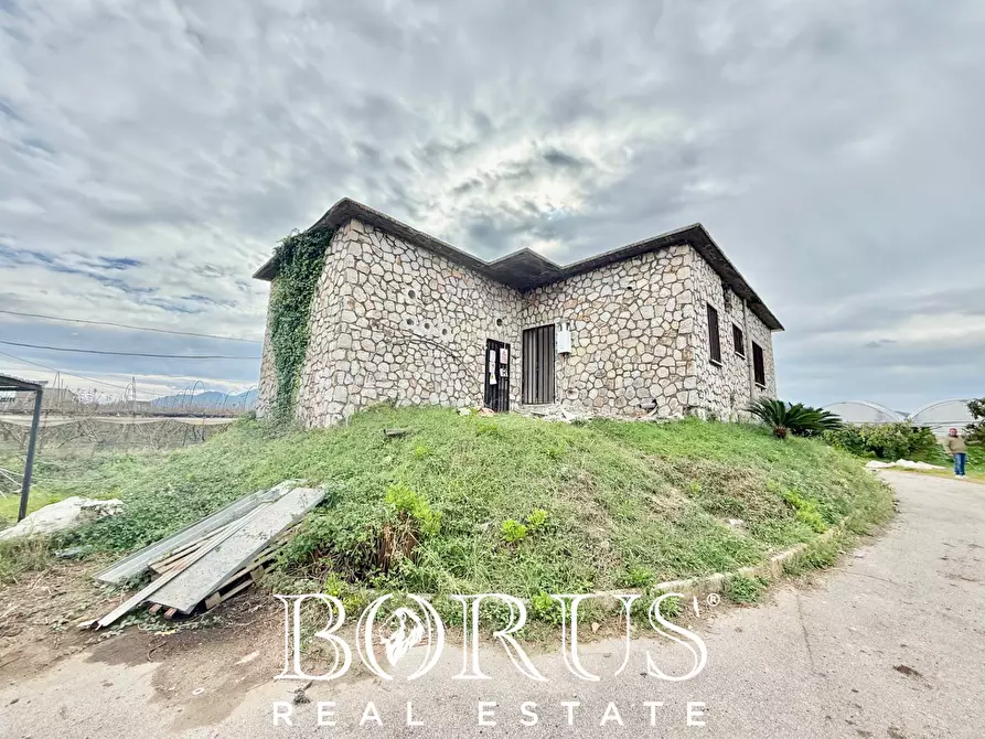 Immagine 9 di Azienda agricola in vendita  in Santa Maria la Piana a Sessa Aurunca