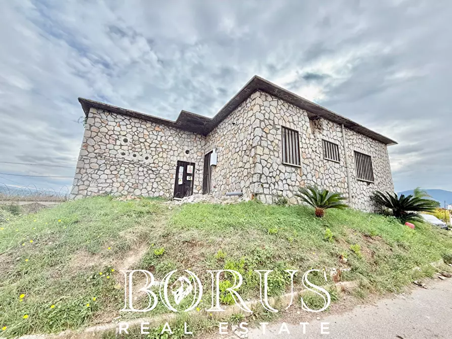 Immagine 14 di Azienda agricola in vendita  in Santa Maria la Piana a Sessa Aurunca