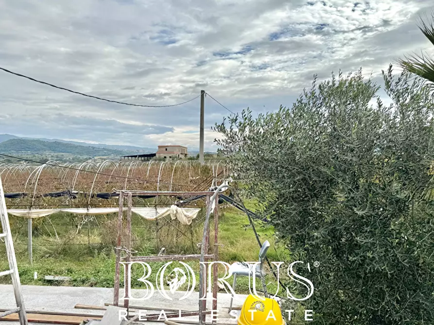 Immagine 25 di Azienda agricola in vendita  in Santa Maria la Piana a Sessa Aurunca