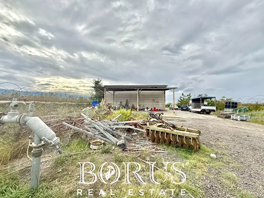 Immagine 28 di Azienda agricola in vendita  in Santa Maria la Piana a Sessa Aurunca