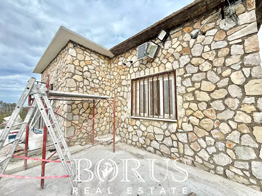 Immagine 34 di Azienda agricola in vendita  in Santa Maria la Piana a Sessa Aurunca