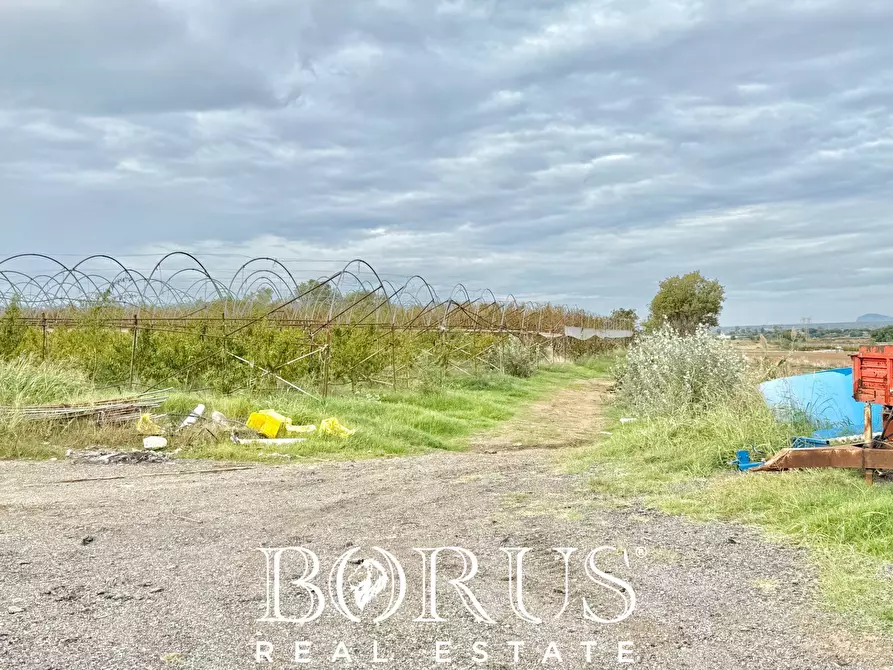 Immagine 37 di Azienda agricola in vendita  in Santa Maria la Piana a Sessa Aurunca