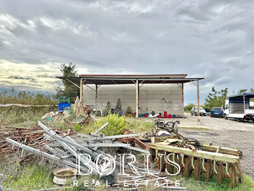 Immagine 43 di Azienda agricola in vendita  in Santa Maria la Piana a Sessa Aurunca