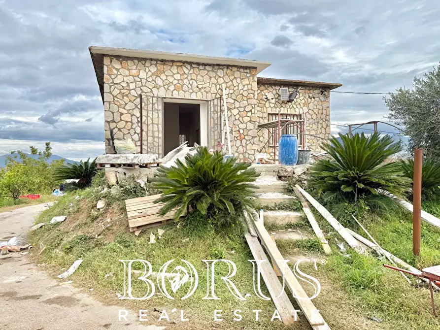 Immagine 59 di Azienda agricola in vendita  in Santa Maria la Piana a Sessa Aurunca