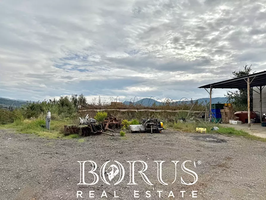 Immagine 60 di Azienda agricola in vendita  in Santa Maria la Piana a Sessa Aurunca