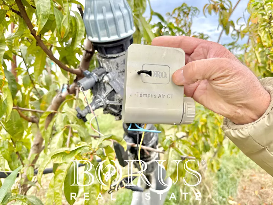 Immagine 62 di Azienda agricola in vendita  in Santa Maria la Piana a Sessa Aurunca