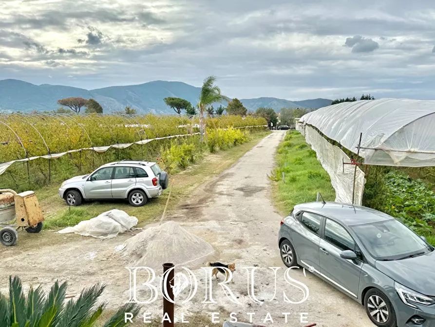 Immagine 70 di Azienda agricola in vendita  in Santa Maria la Piana a Sessa Aurunca