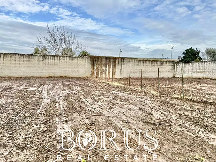 Immagine 2 di Terreno agricolo in vendita  in via del pozzo a Casal Di Principe